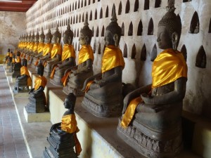 Une multitude de bouddha