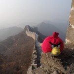 Birds sur la muraille de Chine