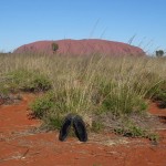 Australie - Uluru, désert rouge